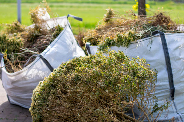 Best Appliance Removal Near Me  in Richlands, NC